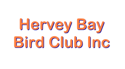 Hervey Bay Bird Club Inc